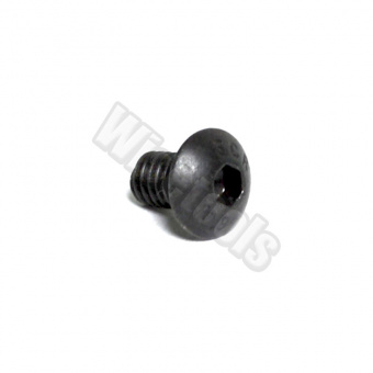 SS04008 Винт подкладной пластины